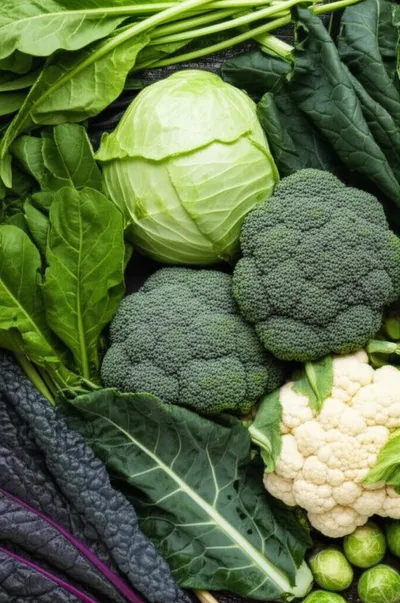 Illustration crucifers - Image 1