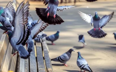 Illustration unusually