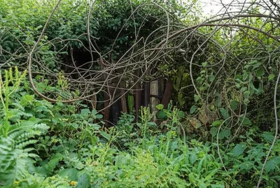 Illustration unmanageable