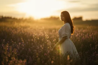 Illustration shapely - Image 1