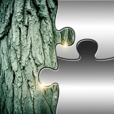 Illustration joints - Image 1