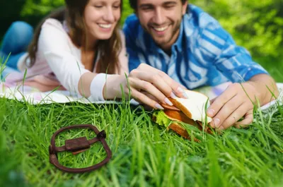 Illustration hitch - Image 1