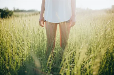 Illustration fog - Image 1