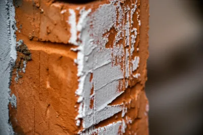 Illustration parietal - Image 1