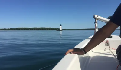 Illustration steered - Image 1