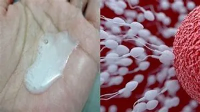 Illustration seed - Image 2