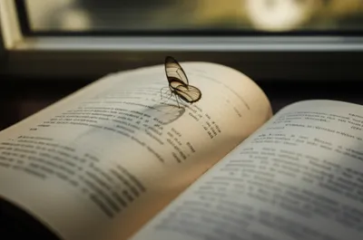 Illustration rests - Image 1