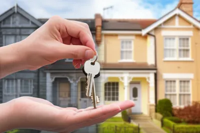 Illustration livery - Image 1