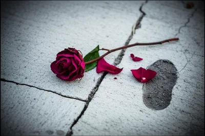 Illustration trampling - Image 1