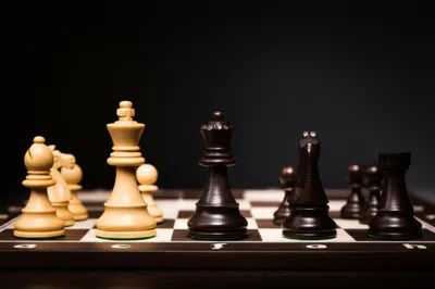 Illustration attraction - Image 1