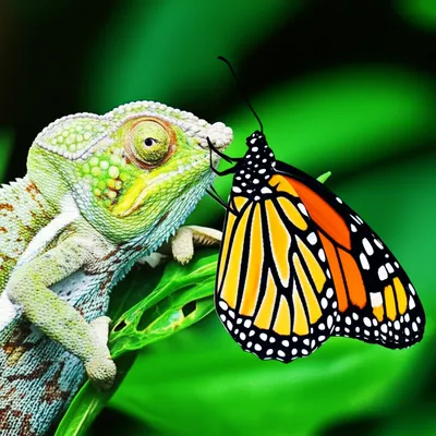 Illustration bitten - Image 1