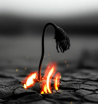 Illustration smokes - Image 1