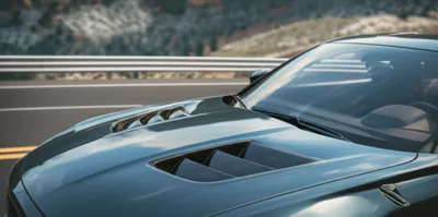 Hình ảnh minh họa scoop - Ảnh 1