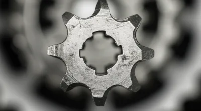 Illustration whelp - Image 1