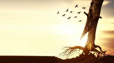 Illustration splitting - Image 1