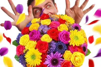 Illustration freshest - Image 1