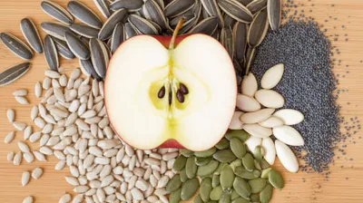 Illustration pips - Image 1