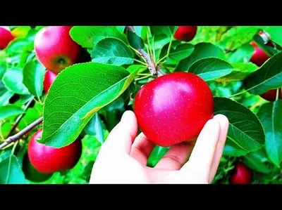 Illustration taken - Image 1