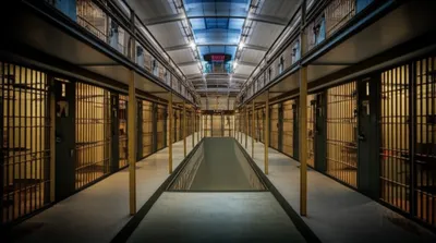 Illustration block - Image 1