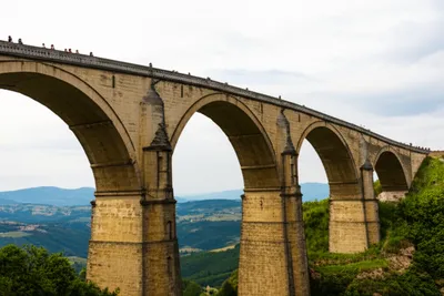 Illustration sureties - Image 1