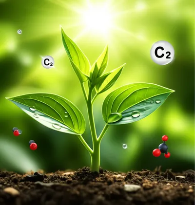 Illustration producer - Image 1