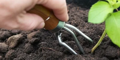 Illustration prong - Image 1