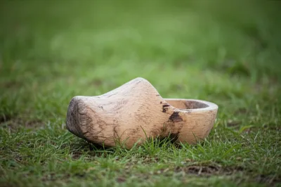 Illustration sabot - Image 1