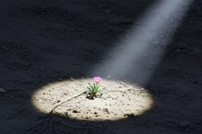 Illustration focal - Image 1