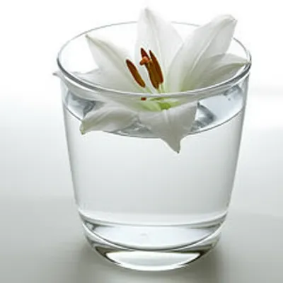 Illustration odourless