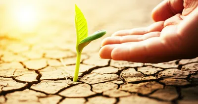 Illustration advances - Image 1