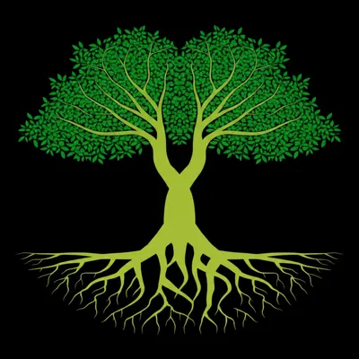 Illustration native - Image 1