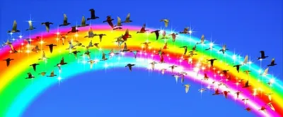 Illustration transitive