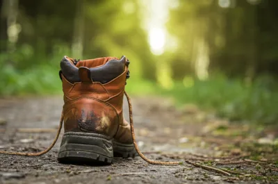 Illustration goer - Image 1