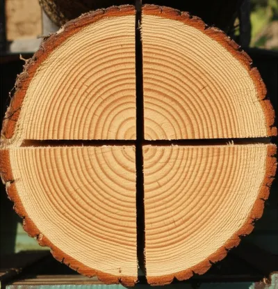 Illustration quarters - Image 1