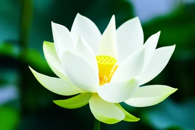 Illustration single - Image 1