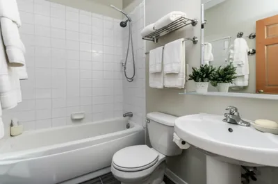 Illustration bathrooms