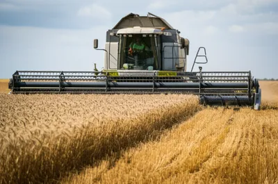 Illustration mow - Image 1