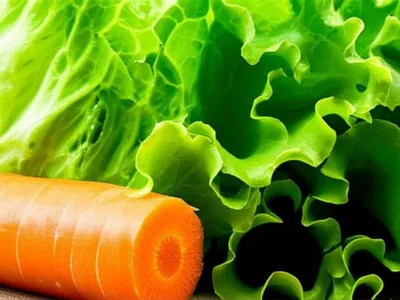 Illustration crisper - Image 1