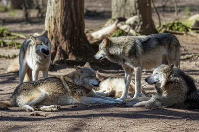 Illustration loafers - Image 1