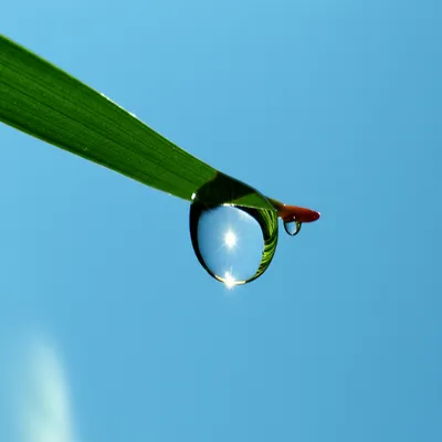 Illustration proposition - Image 1