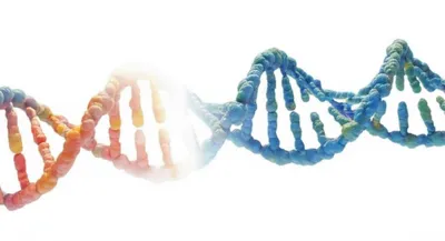 Illustration knockout - Image 1