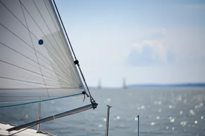 Illustration leeches - Image 1