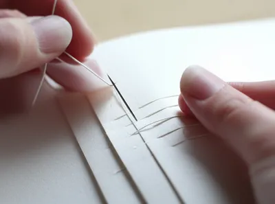 Illustration quire - Image 1