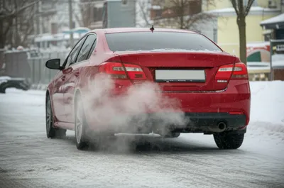 Illustration puffer - Image 1