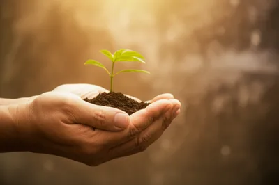 Illustration fiduciary - Image 1