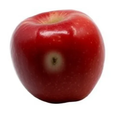 Illustration tainted - Image 1