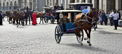 Illustration flys - Image 1