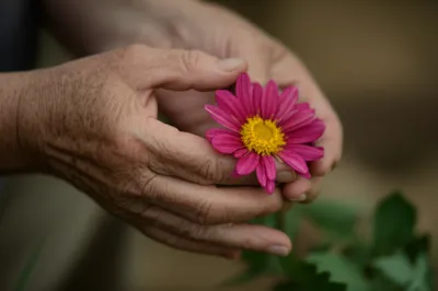 Illustration ageing - Image 2