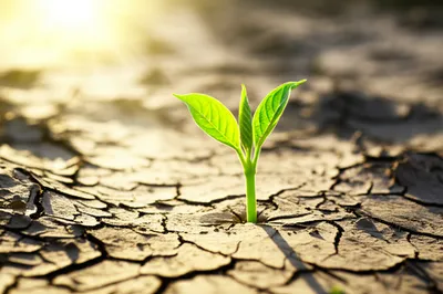 Illustration awoke - Image 1