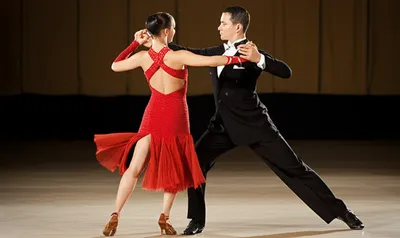 Illustration tango - Image 1